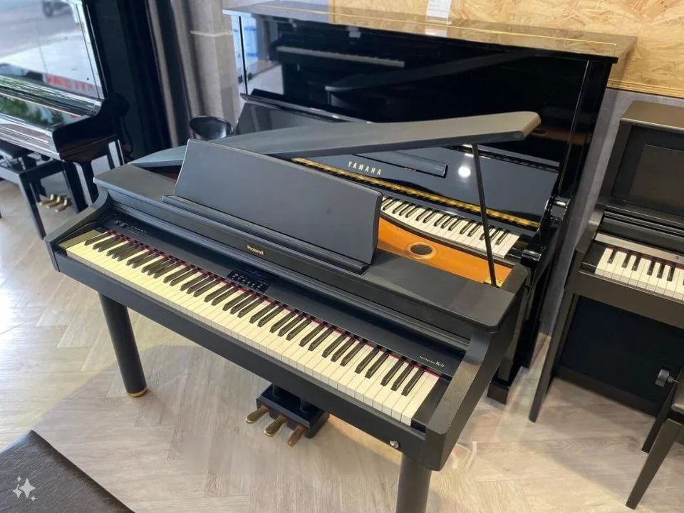 Roland RG-1
