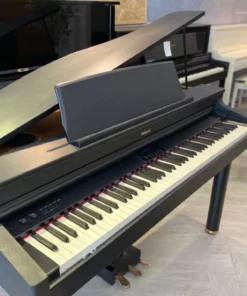 Roland RG-1