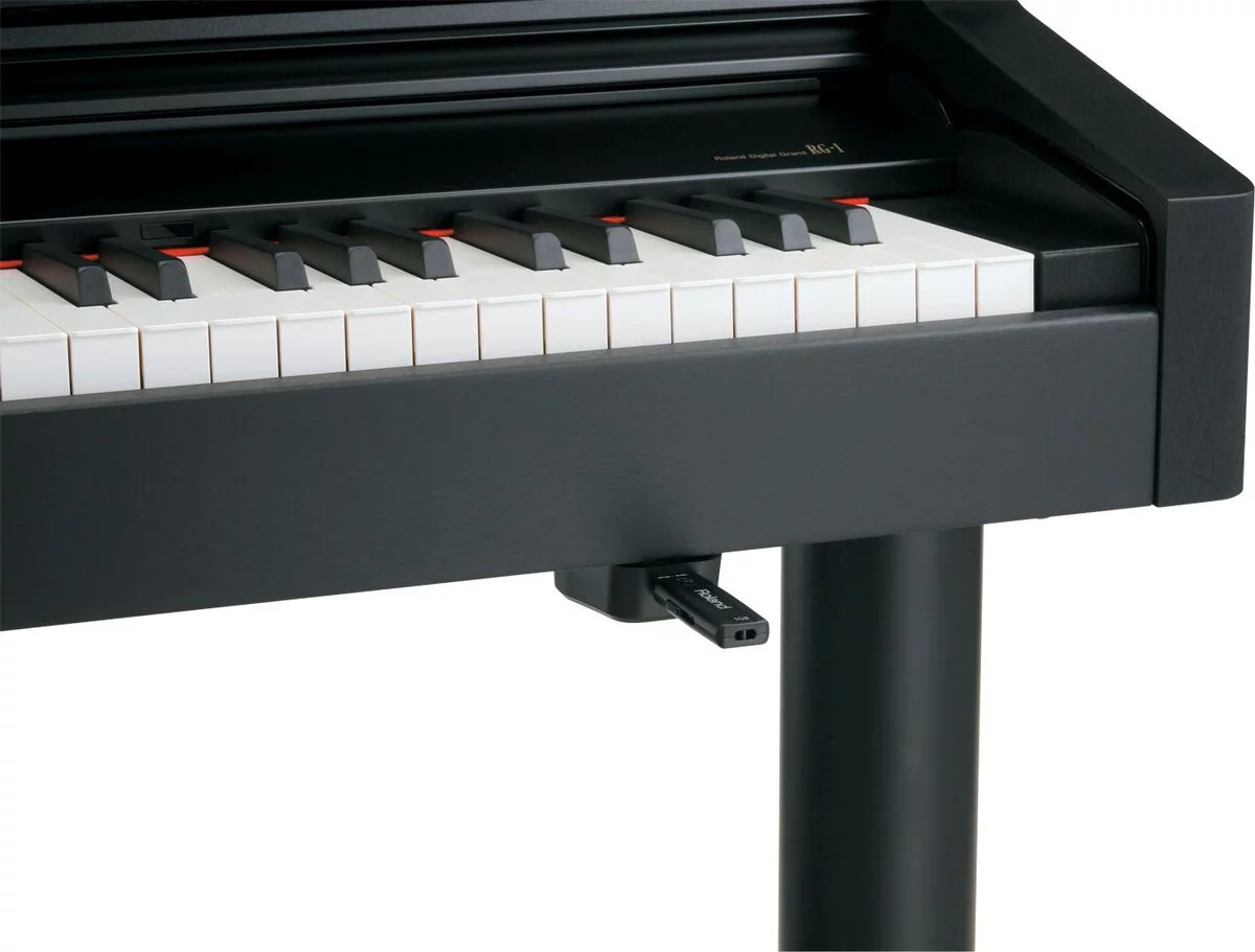 Roland RG-1F PE