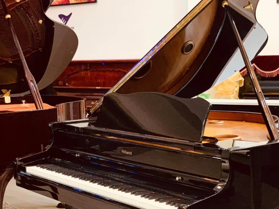 ROLAND RG-7F PE