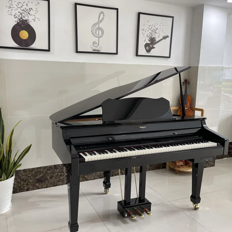 ROLAND RG-3F PE