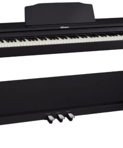 ROLAND RP-102 (Used)