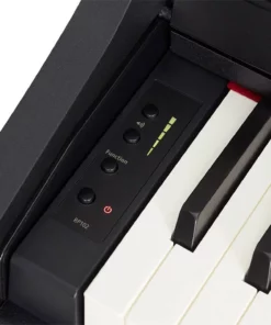 ROLAND RP-102 (Used)