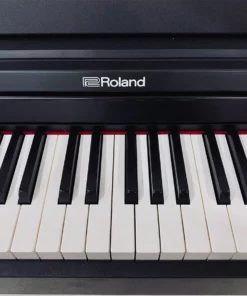 ROLAND RP-102 (Used)