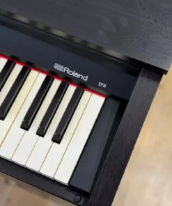 ROLAND RP-30 (USED)