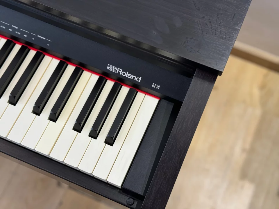 ROLAND RP-30 (USED)