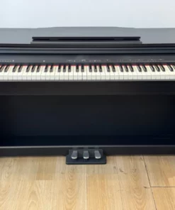 ROLAND RP-30 (USED)