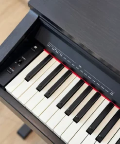 ROLAND RP-30 (USED)
