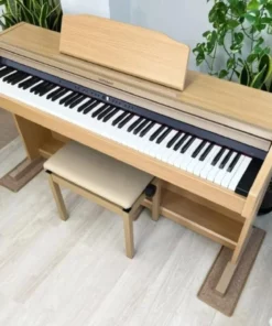 ROLAND RP-501R NBS