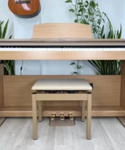 ROLAND RP-501R NBS