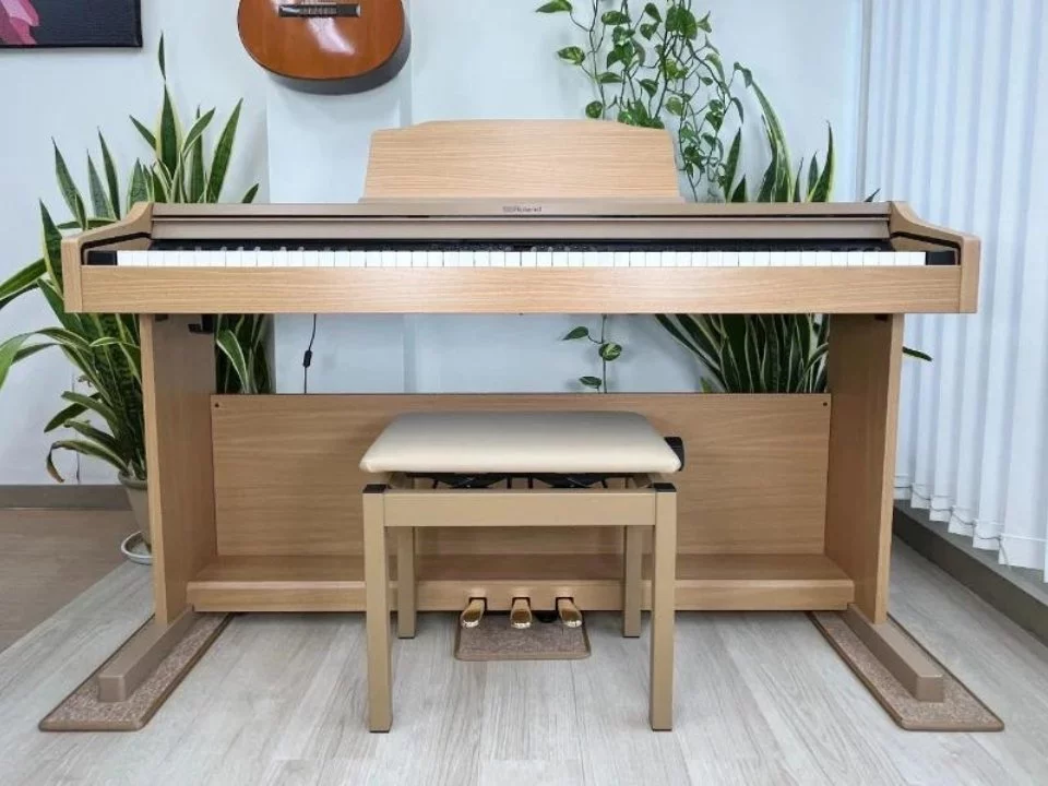 ROLAND RP-501R NBS