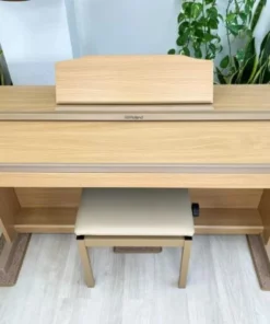 ROLAND RP-501R NBS