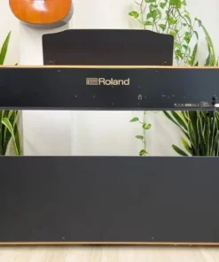 ROLAND RP-501R NBS