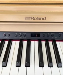 ROLAND RP-501R NBS