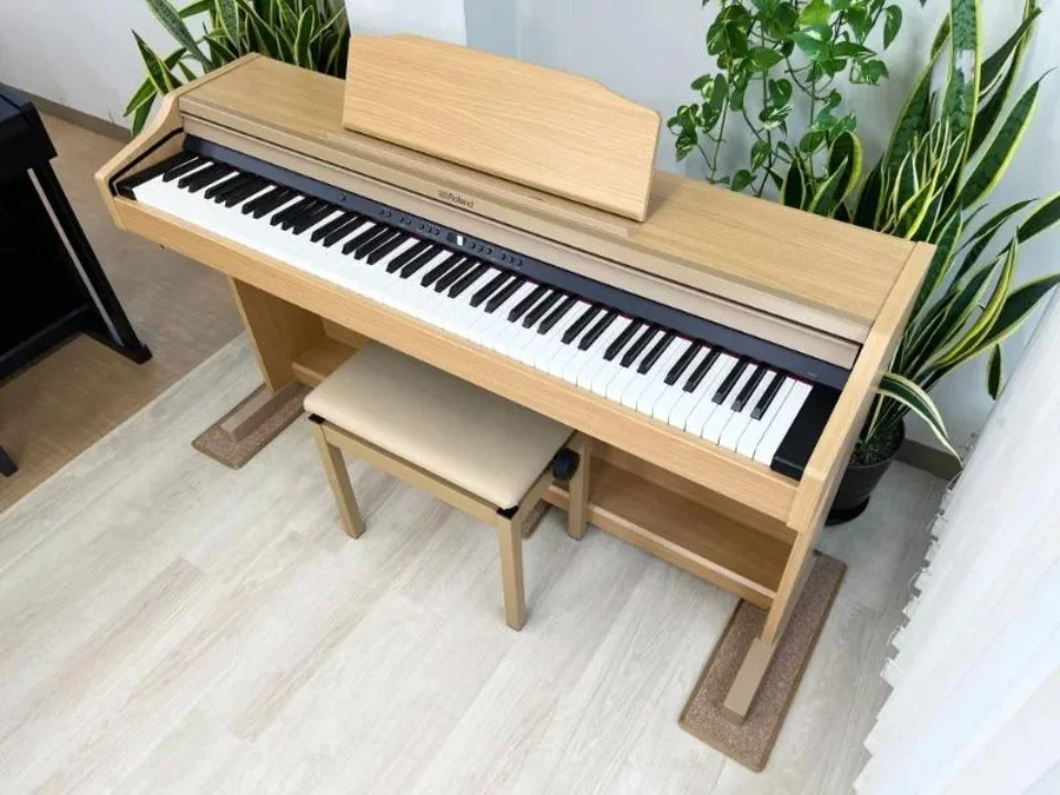 ROLAND RP-501R NBS