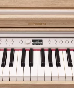 ROLAND RP-701 CB