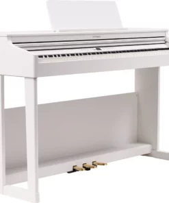 ROLAND RP-701 CB