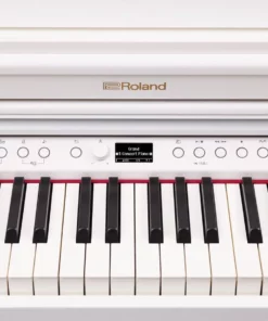 ROLAND RP-701 CB