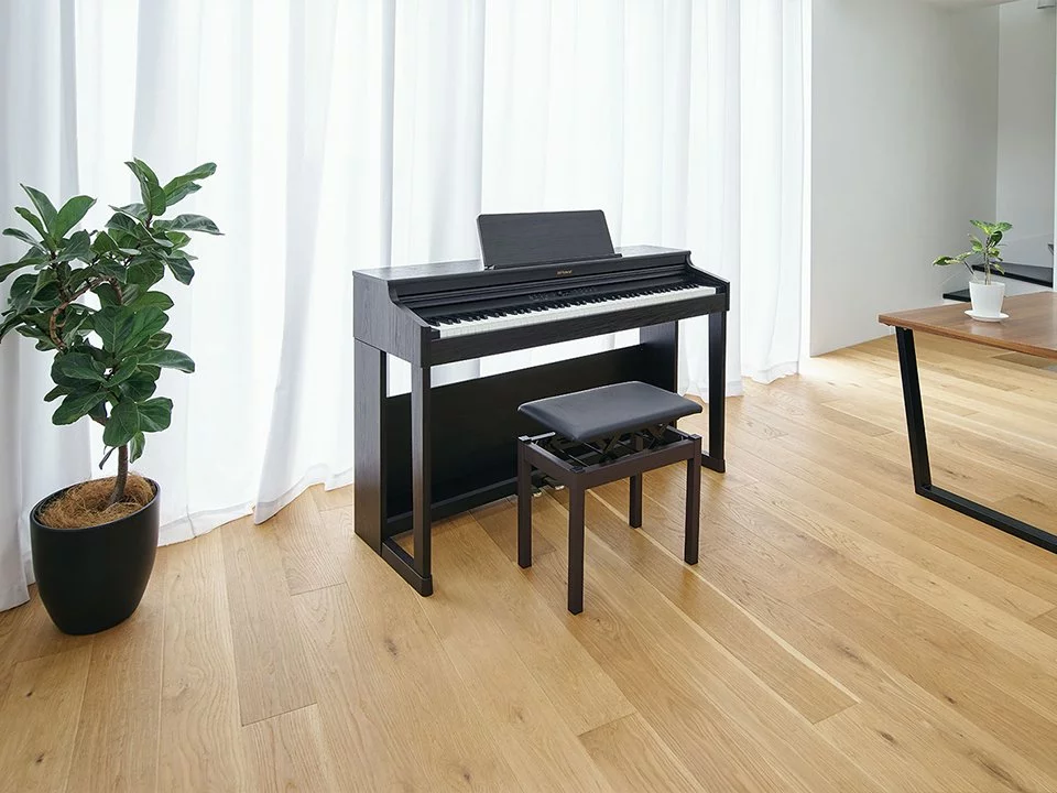 ROLAND RP-701 CB