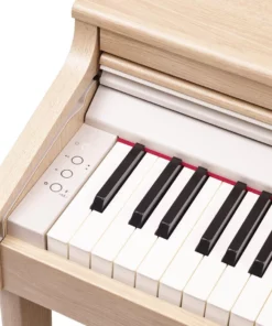 ROLAND RP-701 DR