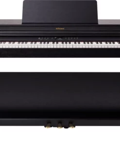 ROLAND RP-701 DR