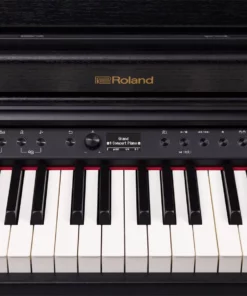 ROLAND RP-701 DR