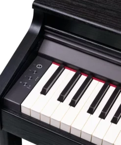 ROLAND RP-701 DR