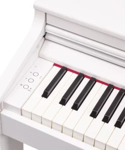 ROLAND RP-701 WH