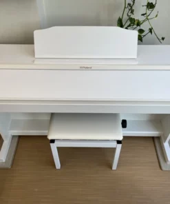 ROLAND RP-501R WH