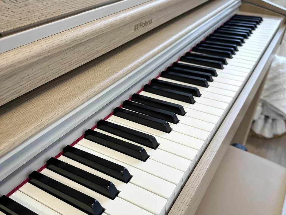 ROLAND RP-701 LO - Elite Piano