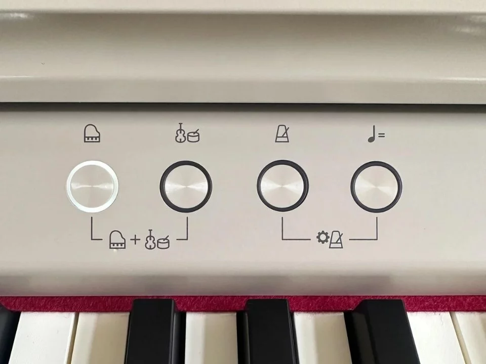 ROLAND RP-701 LO - Elite Piano