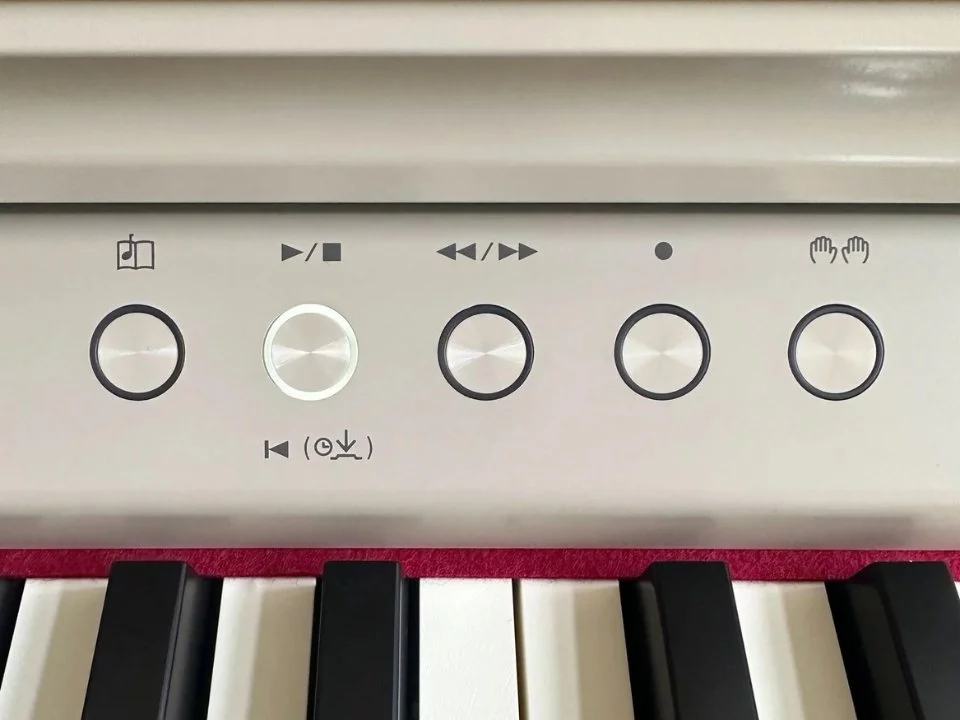 ROLAND RP-701 LO - Elite Piano