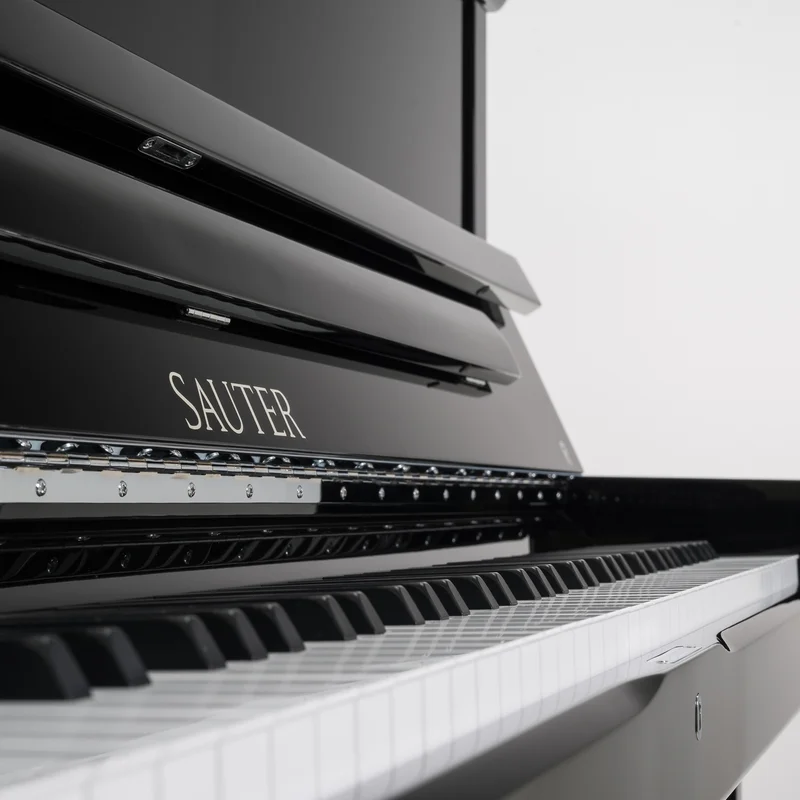 Sauter Artisan 124