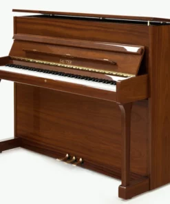 Sauter Carus 112