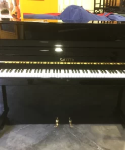 Sauter Carus 112