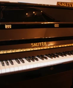 Sauter Carus 112