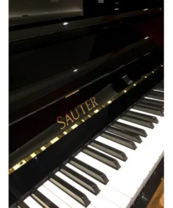 Sauter Carus 112