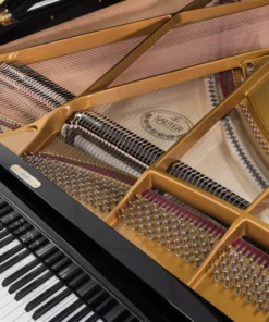Sauter Delta 185 | Salon Grand Piano