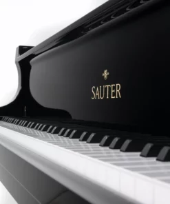 Sauter Delta 185 | Salon Grand Piano