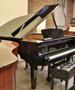Sauter Delta 185 | Salon Grand Piano