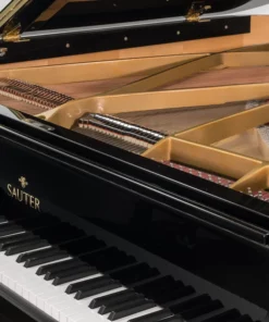 Sauter Delta 185 | Salon Grand Piano