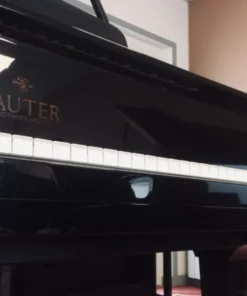 Sauter Delta 185 | Salon Grand Piano