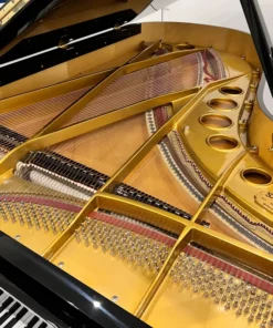 Sauter Omega 220 | Semi-Concert Grand Piano