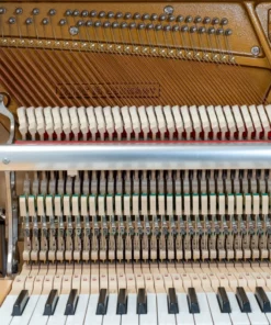 Sauter Ragazza 122 (Cherry Satin Mahogany)