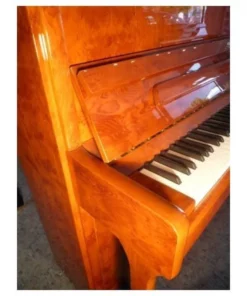 Sauter Ragazza 122 (Cherry Satin Mahogany)