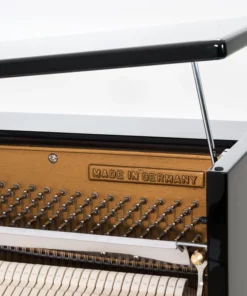 Sauter Ragazza 122 (Polished Ebony)
