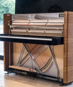 Sauter Rhapsody 122 Upright