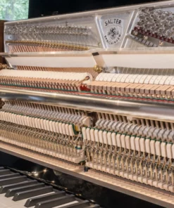 Sauter Rhapsody 122 Upright