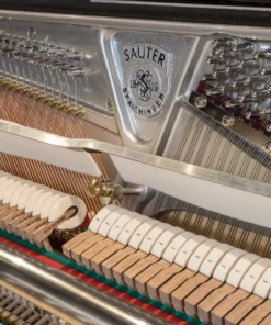 Sauter Rhapsody 122 Upright