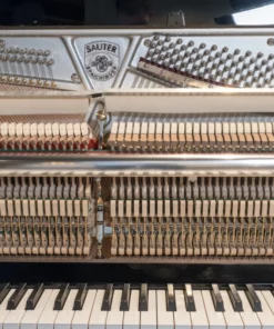 Sauter Rhapsody 122 Upright